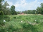 Ashburnum Garden, a community garden run by Transition Peterborough. Photo via the group's website.