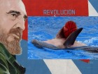 Fidel and Dolphin