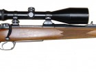 Modern hunting rifle.