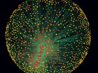 Diagram showing links between 1,318 transnational corporations. 147 of them are "superconnected," together controlling 40% of all transactions in the network.
