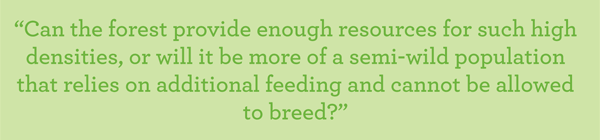 "Can the forest provide enough resources for such high densities, or will it be more of a semi-wild population that relies on additional feeding and cannot be allowed to breed?"