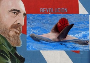 Fidel and Dolphin