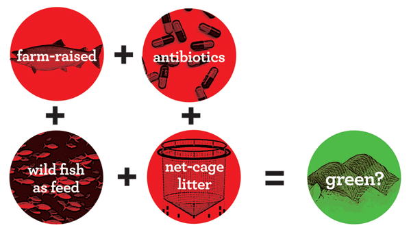 farm-raised + antibiotics + wild fish as feed + net-cage litter = organic?