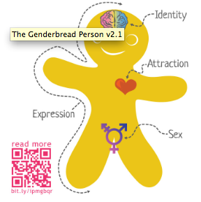 THIS → Gender Block: The difference between sex and gender