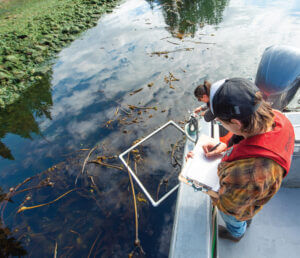 An image of kelp cultivators in a boat recording their observations of the kelp in the wild.