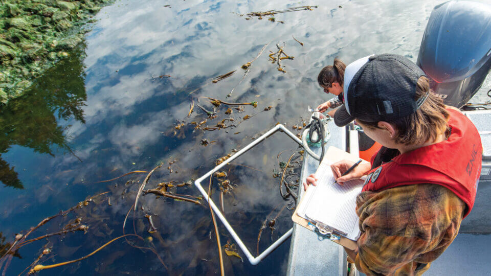 An image of kelp cultivators in a boat recording their observations of the kelp in the wild.