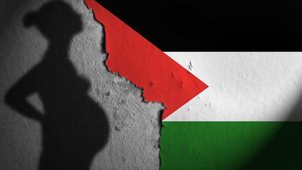 An image of a torn Palestinian flag. Behind the tear is a concrete wall with the shadow of a pregnant person.