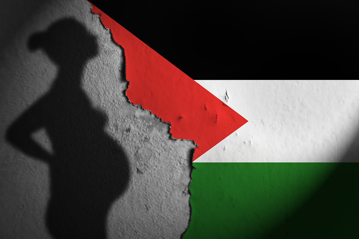 An image of a torn Palestinian flag. Behind the tear is a concrete wall with the shadow of a pregnant person.