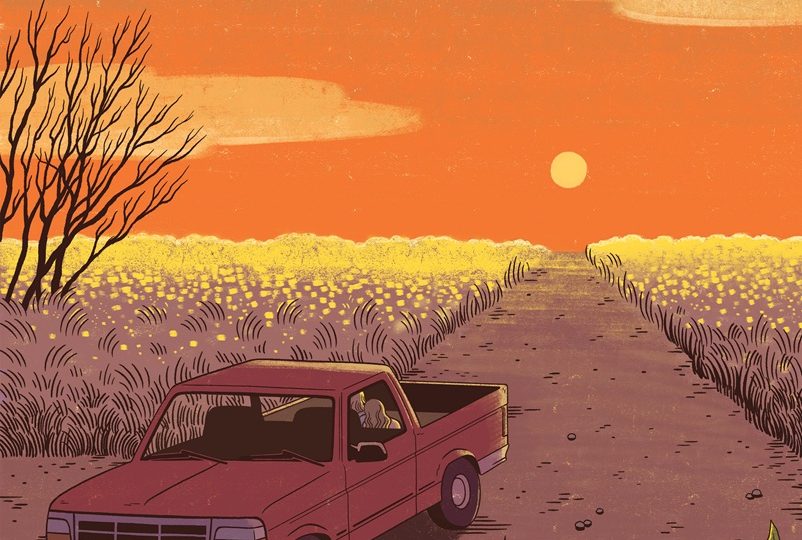 Illustration of a parked truck at sunset with canola fields surrounding the road.