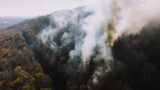 Image of smoke rising from a forest