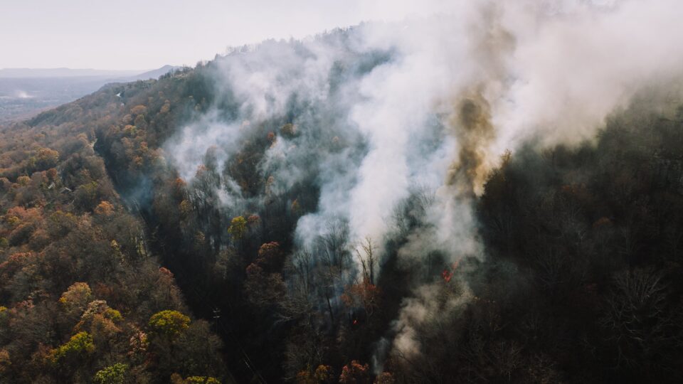 Image of smoke rising from a forest